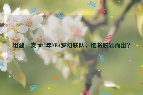 组建一支2024年NBA梦幻联队，谁将脱颖而出？