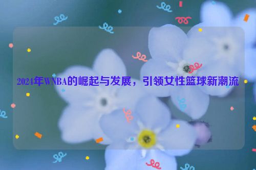 2024年WNBA的崛起与发展，引领女性篮球新潮流