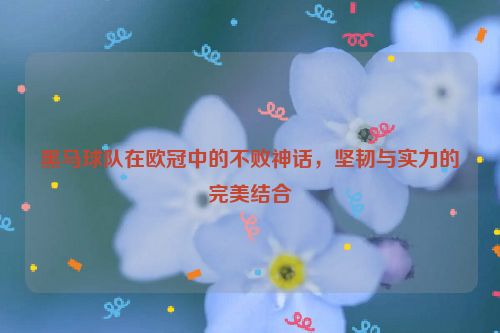 黑马球队在欧冠中的不败神话，坚韧与实力的完美结合