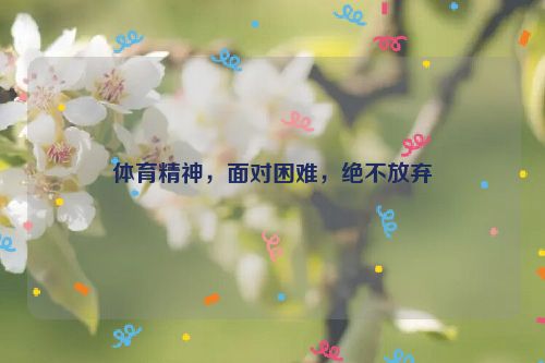 体育精神，面对困难，绝不放弃